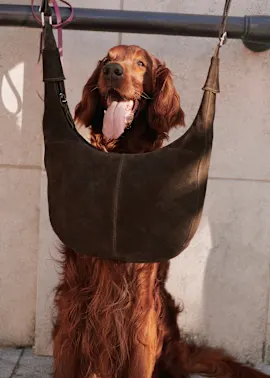 Eine braune Wildleder-Handtasche hängt; dahinter schaut ein Hund hervor.