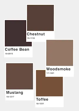 Mode in Kastanien- und Kaffeebraun: warme Erdtöne für stilvolle Outfits.