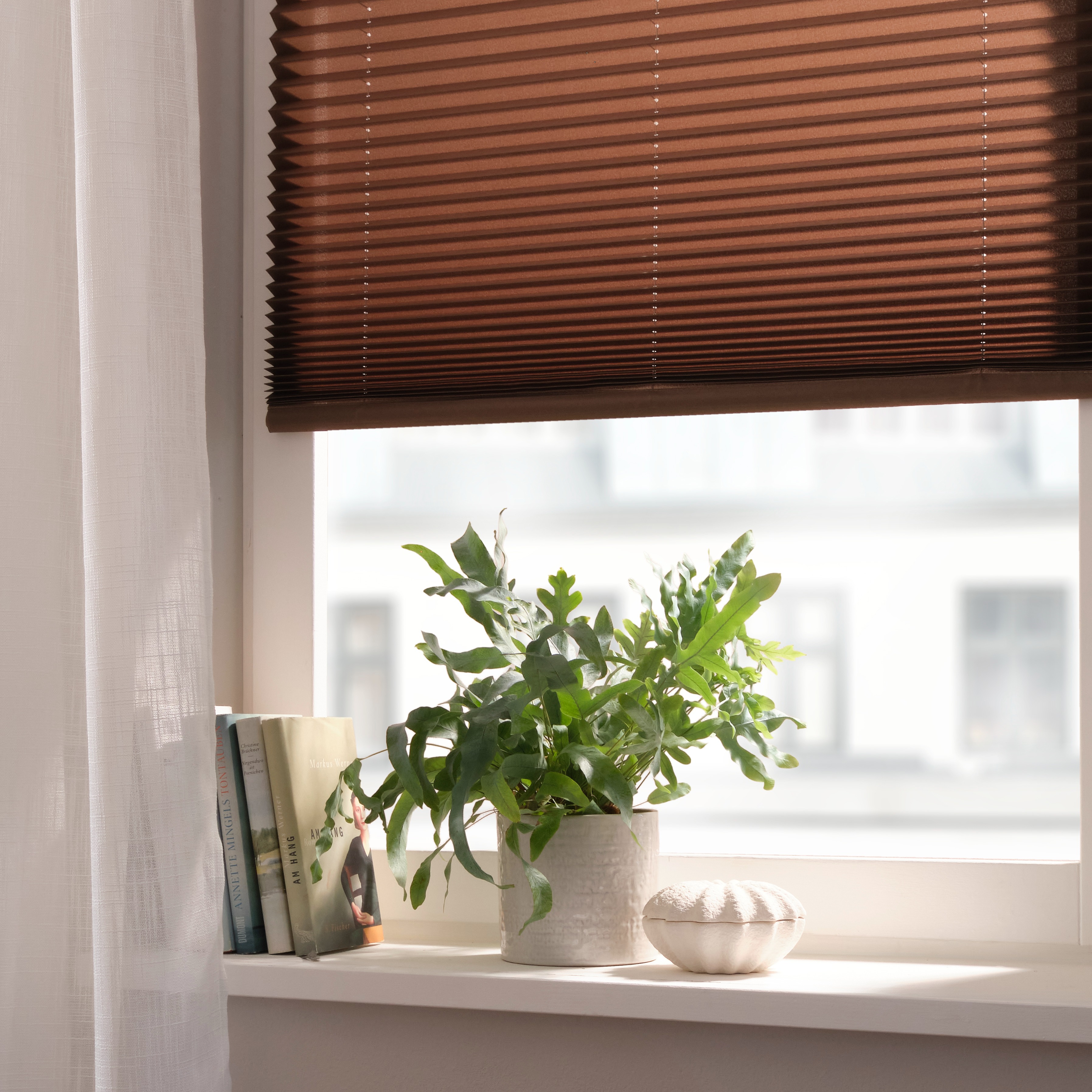 Bräunliche Plissees am Fenster.