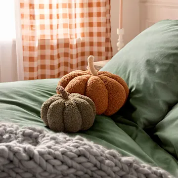 Kürbiskissen, eine weiche Decke und karierte Vorhänge.