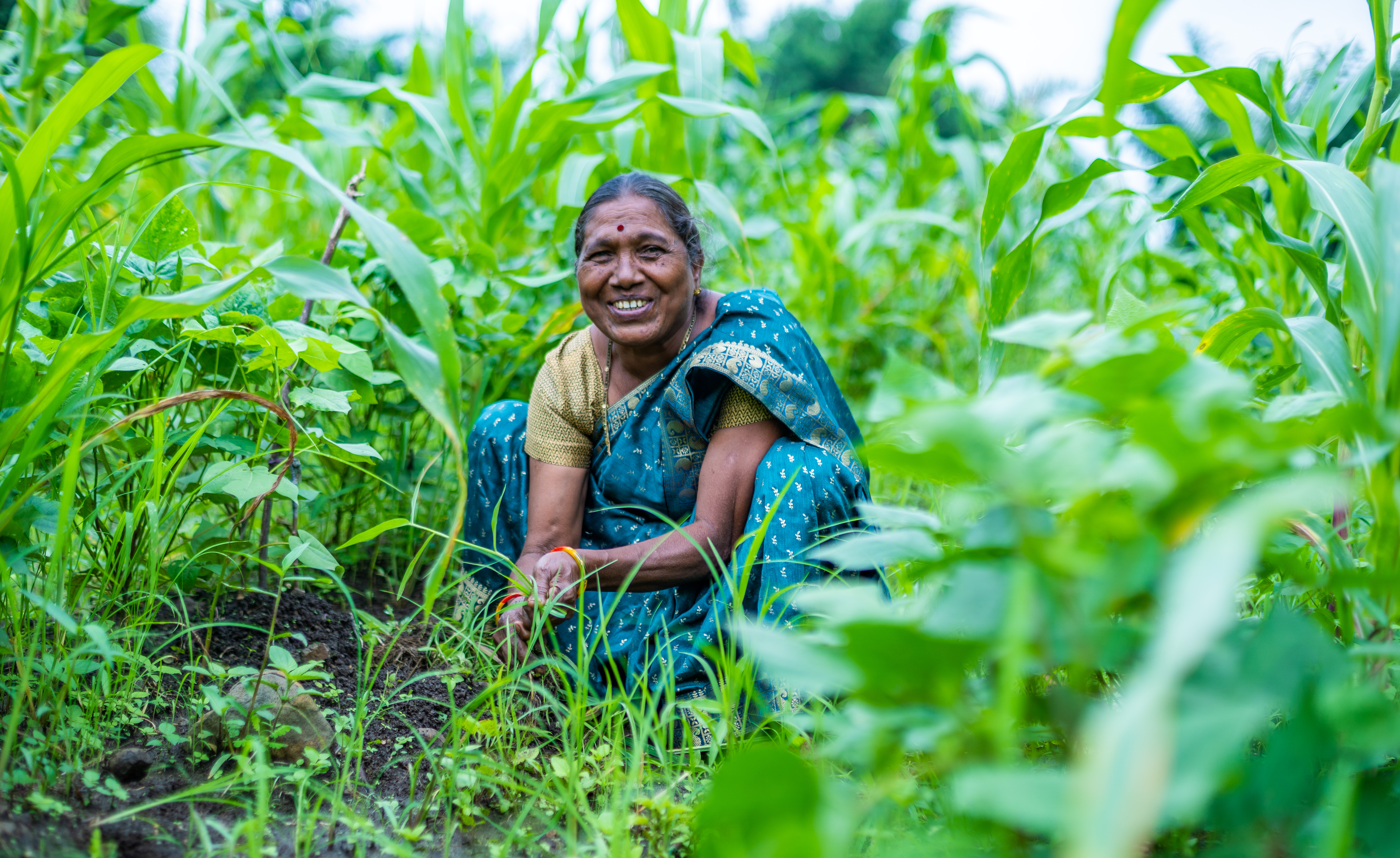 Ein bunter Sari schmückt die lächelnde Person inmitten üppiger, grüner Vegetation auf dem Feld.