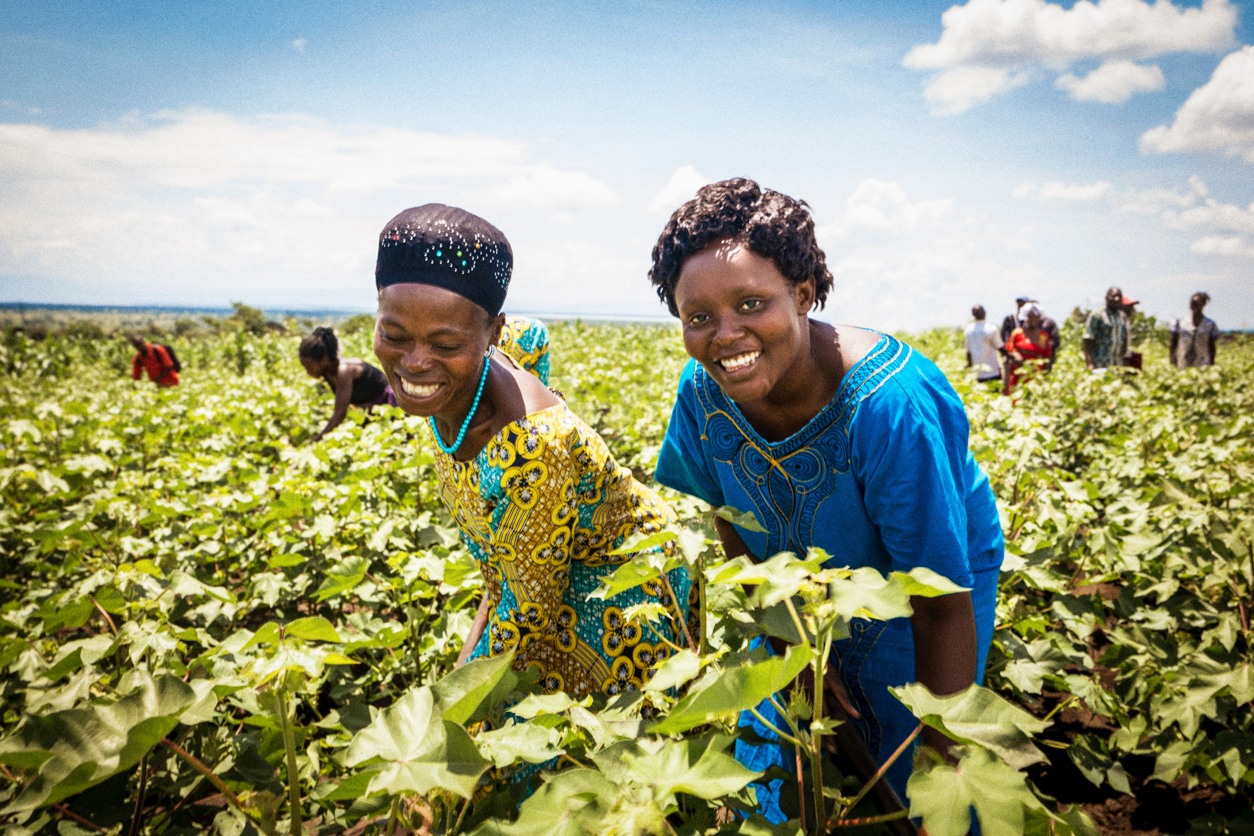 Farbenfrohes Muster auf gelbem Oberteil, kontrastiert mit leuchtendem Blau. Traditionelle Kopfbedeckungen ergänzen die Kleidung.