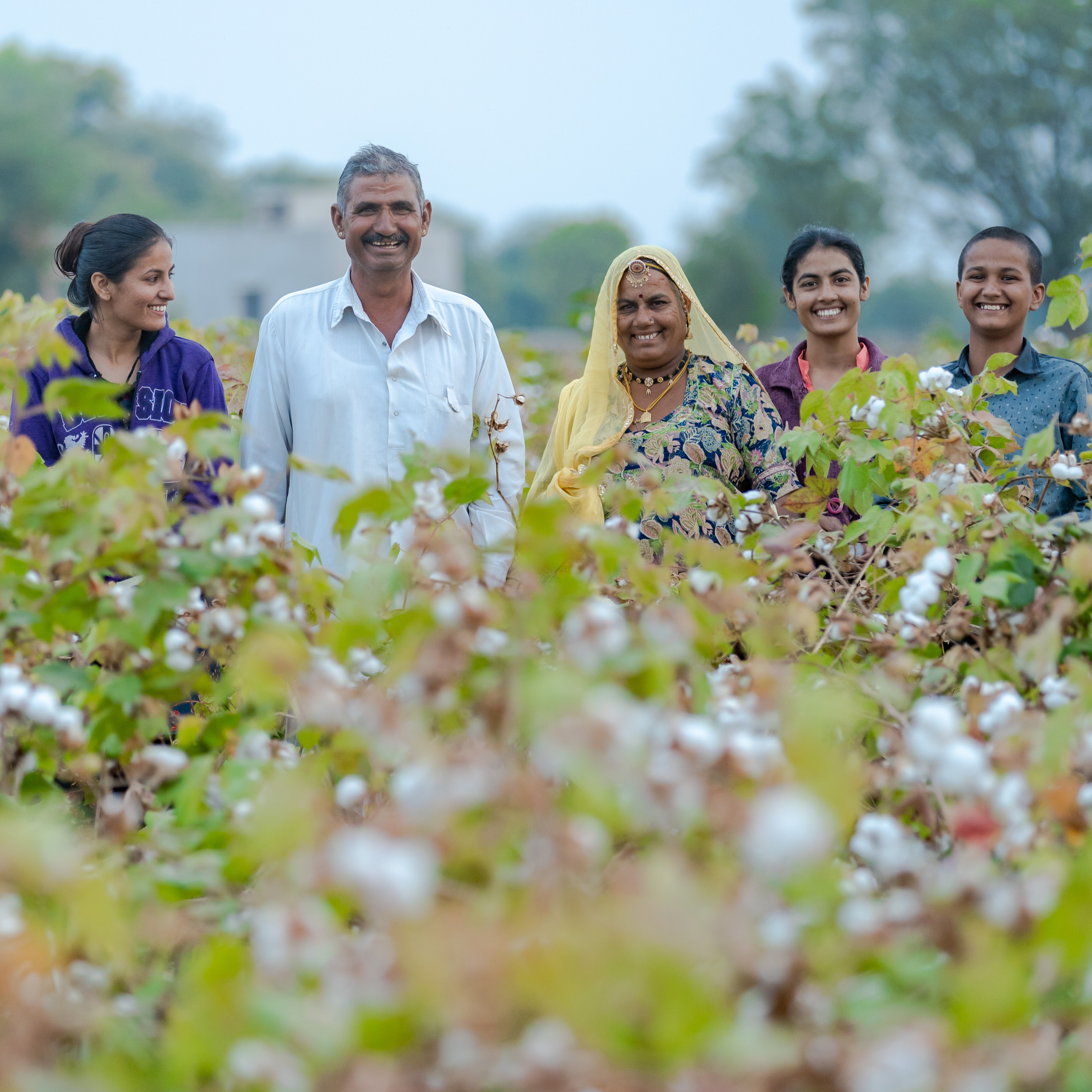 Farbenfrohes traditionelles Gewand trifft auf schlichtes Weiß inmitten blühender Baumwollfelder.