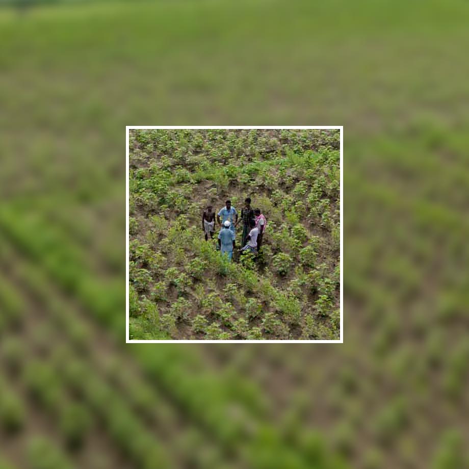 Blaue und grüne Kleidung hebt sich von den Pflanzenreihen auf dem Feld ab.